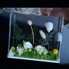 Acrylic Flowers Handbag Gift Bag with Ribbon for Christmas and Thanksgiving
