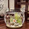Transparent Aquariums Round Ornamental Fish Tank Clear Guppy Tank Goldfish Fish Bowl Home Desk Decor Aquarium Hydroponic Planter