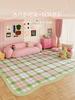 Dopamine Color Bedroom Decor Pink Carpet Large Area Carpets for Living Room Fluffy Soft Children's Mat Thick Plush Cloakroom Rug