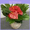 Artificial Silk Plants Multi Branch Red Palm Heart Elephant Ear Leaves Wedding Home Office Decor