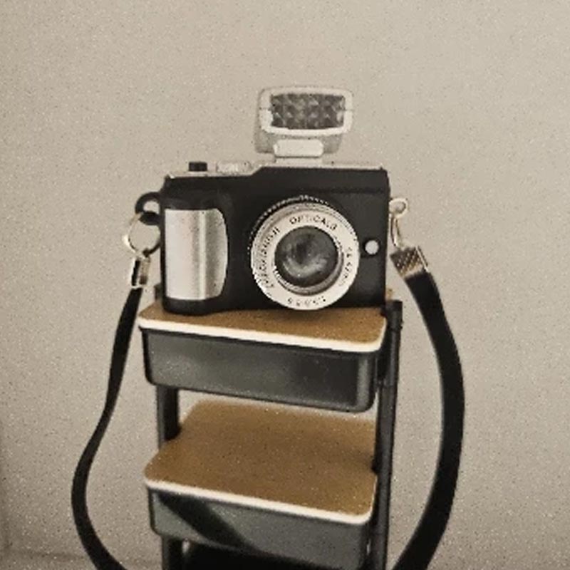 1/6 1/8 1/12 Dollhouse Miniature Digital Slr Camera For Labubu Dolls House Decoration Accessories Simulation Camera Ornaments