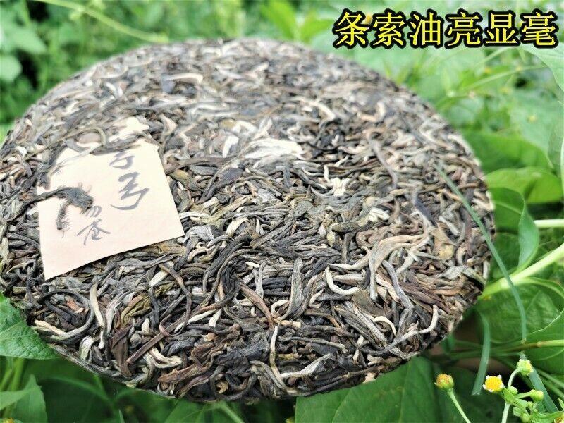 357g Pu-Erh Spring Tea Cake Zhonghong Yin Bow Chá da Árvore Antiga Yiwuwanggong