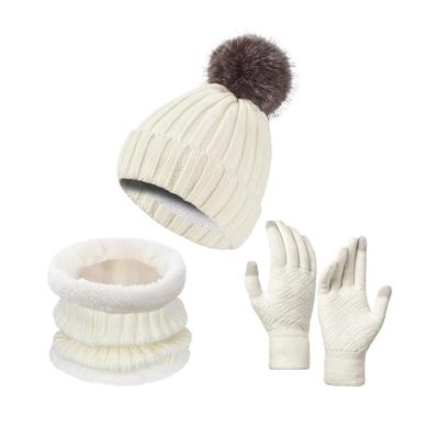 3pcs Cloth Ladies Winter Fashion Set Hat Scarf And Gloves For Women Hat Scarf And Gloves Set Ladies