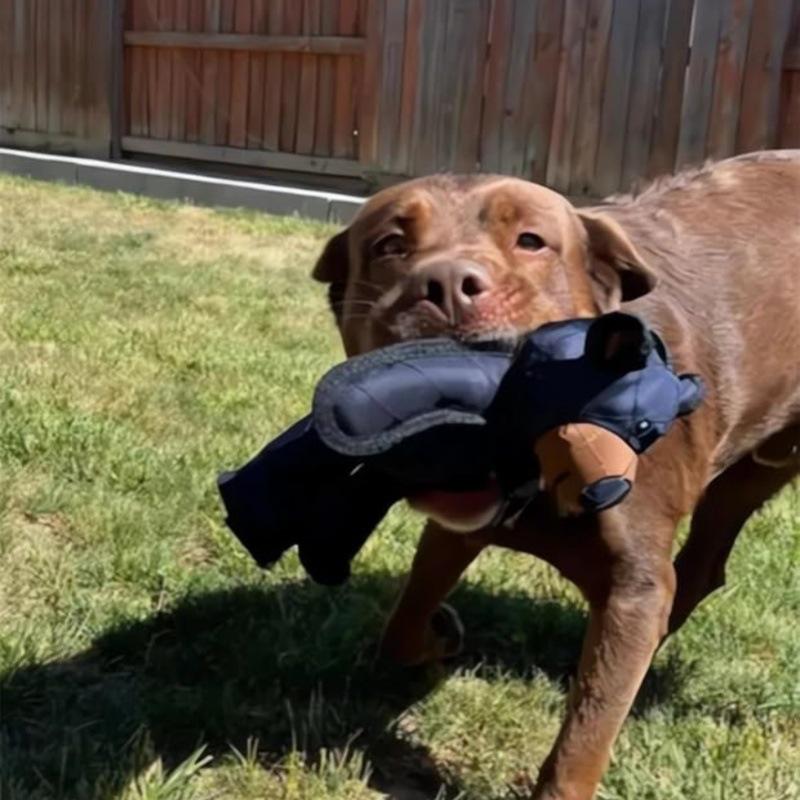 

New Durable Oxford Cloth Dog Toy: Soothing, Bite-Resistant, and Ideal for Training Sound Denim Bear
