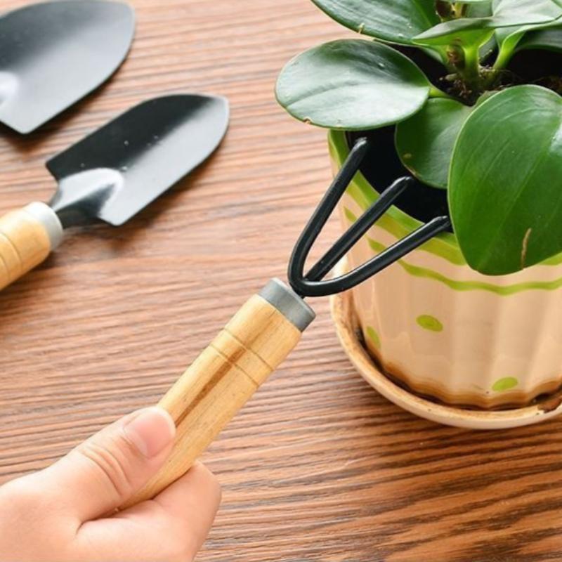 3-Piece Mini Gardening Tool Set Iron Steel Hand Trowel Transplant Spade Rake Suitable for Succulent Bonsai Indoor Plants Miniature Landscape Creation