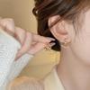Zodiac Year Zircon Pearl Horse Earrings - Luxurious, Modern Studs for Women