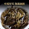 357g Yunnan Ancient Pu'er Seven Seed Cake Tea Icelandic Land Boundary Raw Tea