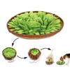 2025 New Model Avocado Dog IQ Puzzle Eco-Friendly Felt Solid Slow Eating Training Bowl Pad
