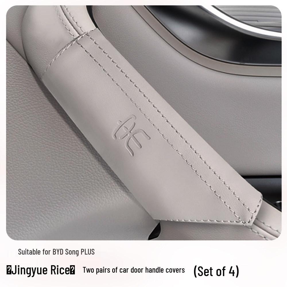BYD Song PLUS/PRO Door Handle Cover - Champion Edition Decorative Interior Trim
