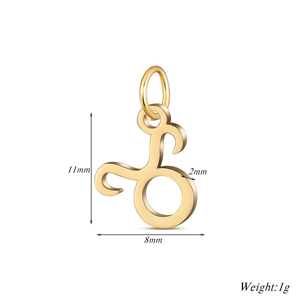 Wholesale 6pcs/lot 12 Constellation Zodiac Charm Pendant Stainless Steel High Quality DIY Jewelry Making Accessories