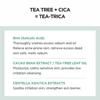 Skin1004 Madagascar Centella Tea-Trica Bha Foam 125ml