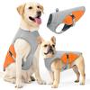 Bekleidung & Schuhe – Westen & Hemden für Hunde