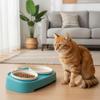 Slanted Pet Feeding Bowl Anti-Flip Cat Food Bowl Pet Slow Feeder Bowl  for Cats Dogs Birds