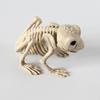 Model Schelet Liliac Broască Șopârlă Halloween Terorist Animal Decorațiune Proiecte Casă Bântuită Decor