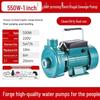 Household Self-Priming Large Flow Water & Sewage Pump for Agriculture & Drainage