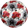 Ronaldo's Legacy Soccer Soccer Ball Size 5 Football Machine-Stitched Indoor/Outdoor Training and Matches for Football Accessories