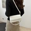 Chic Casual Shoulder Bag For Women Summer 2024 Trendy Small Handbag