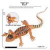 Children's Dinosaur Model Toy Set: Spinosaurus, T-Rex, Oviraptor, Tarbosaurus, Pachycephalosaurus
