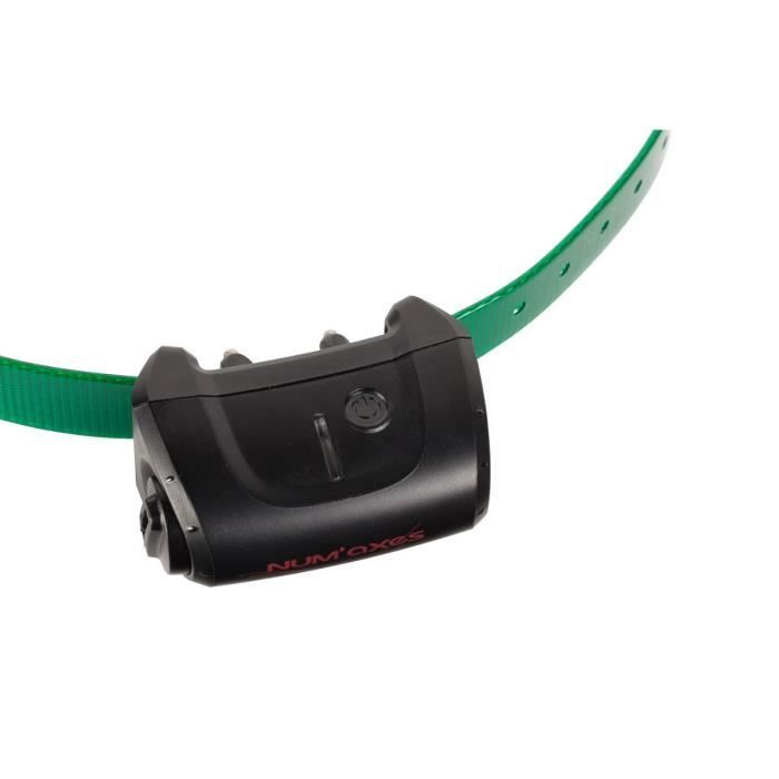 Numaxes collier supplémentaire canicom 5 - sangle verte foncée
