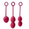 SVAKOM Nova Geisha Ball Training, Sensitivity Polishing, Kegel Ball, Pelvic Floor Muscles, Tightness After Childbirth, Prevents Urinary Leakage, Impro