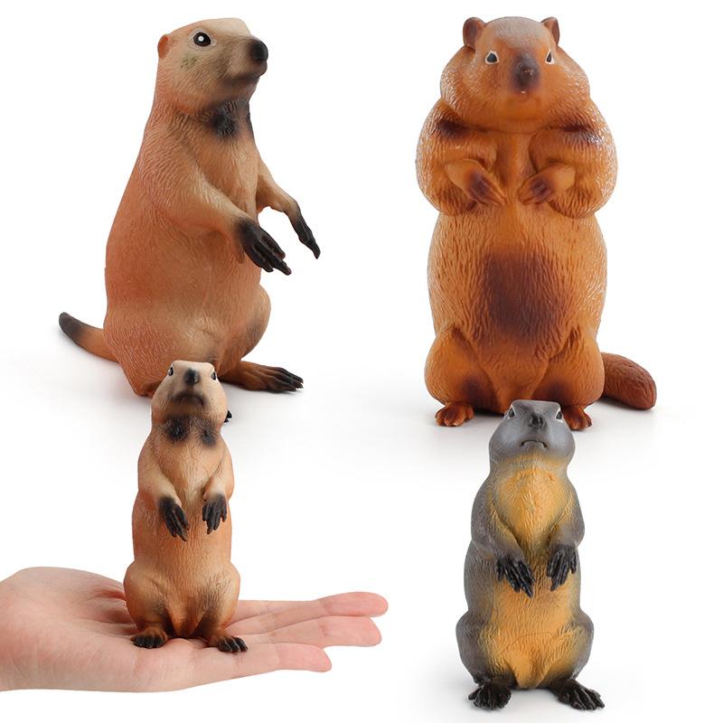 Children'S Science And Education Cognition Grassland Wild Squirrel Animal Model Simulation Solid Groundhog Collection Ornament Toy