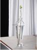 Zen Transparent Glass Vase for Hydroponic Plants and Small Mouth Flower Arrangements