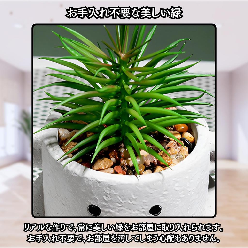 Charmoon Mini Palm-Sized Faux Green Houseplant, Cute, Realistic, and Unique (Bear & Whiskers)