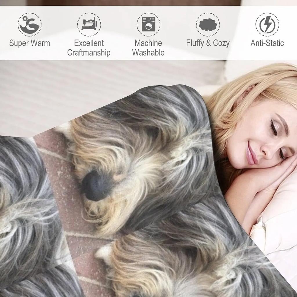 Bearded Collie Nap Time - Always Got One Eye Open Just In Case! Throw Blanket Sofa Blanket Heavy Blanket