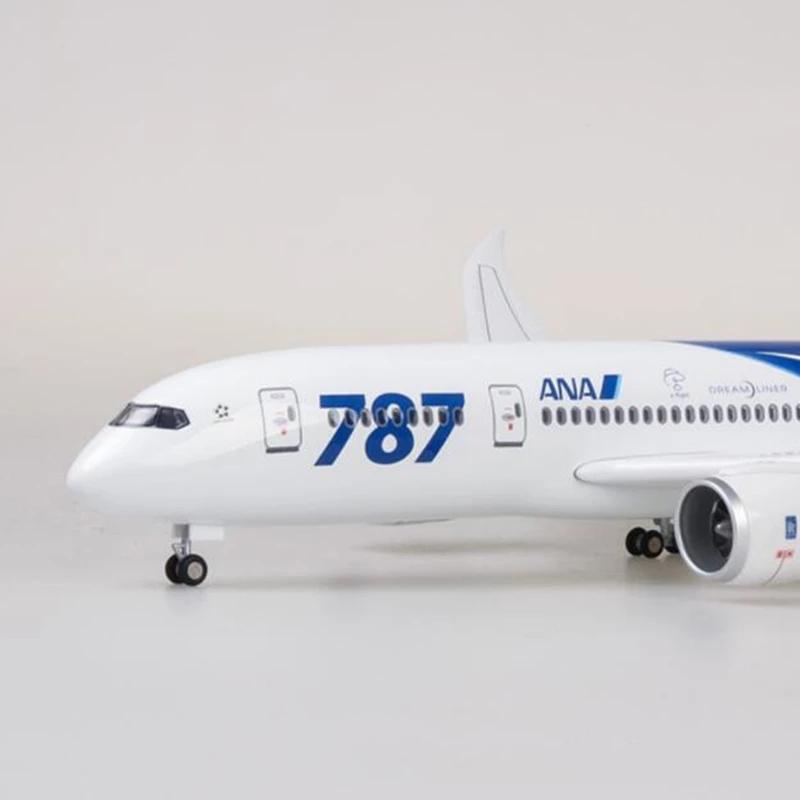 B787 Plane Model Airplane 1/130 Scale 18.5 Inchs All Nippon Airways Japan ANA Diecast Airplane Model with LED Light for Decor