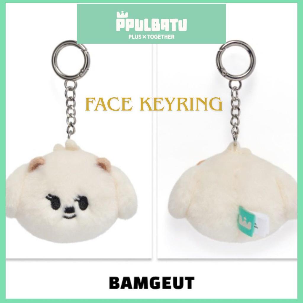 [USED] TXT PPULBATU BEMGEUT Face Key Ring