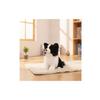 Border Collie Stuffed Animal Dog Realistic Border Collie Stuffed Animal Stuffed Dog with Stuffed Animal Tail Lifelike Soft
