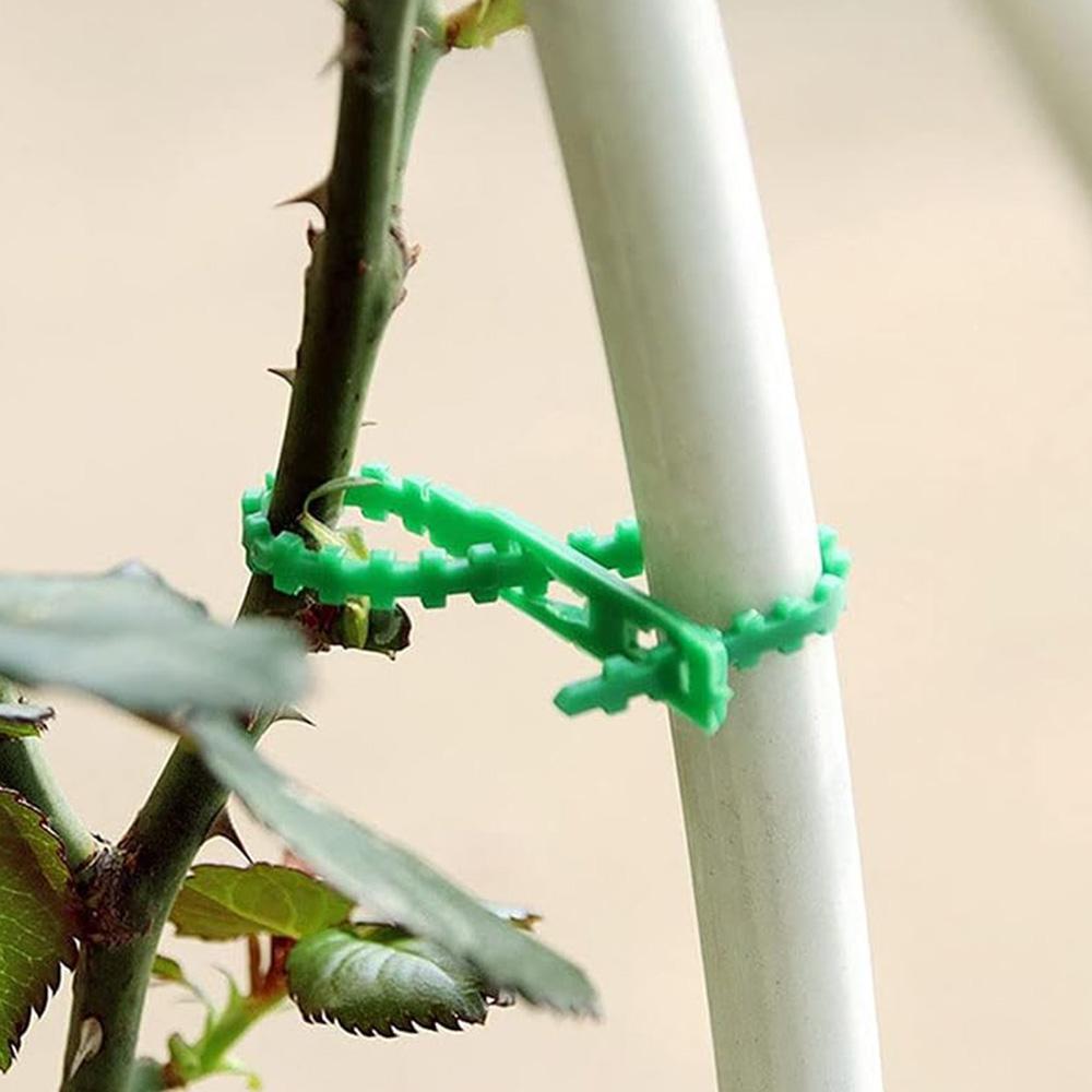 100 stk Gjenbrukbare hagekabelbånd Plantestøtte Busker Festemiddel Trelåsing Justerbare plastkabelbånd Verktøy 13/17cm