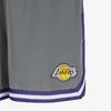 New Nike DRI FIT NBA Basketball Shorts Men's Smoke Gray/Full Coverage Purple/White FQ3533-084