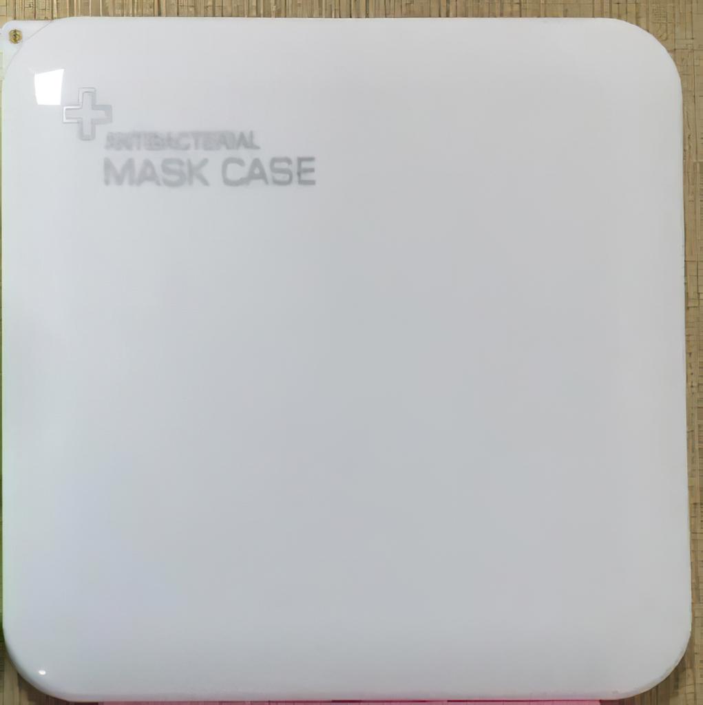 Plastic Mask Storage Box PP Square Blue White Medical Civil Masks Temporary Folder Flip Cover Portable Outdoor Antiviral Product