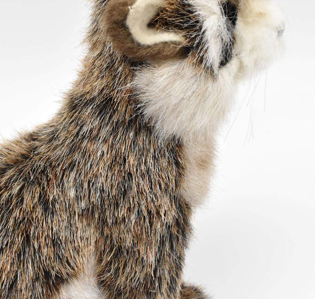 BH2649 HANSA Raccoon 23