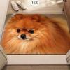 Adorable Pomeranian Door Mat Cute Animal Pattern Soft Non-Slip Entryway Rug for Front Door Living Room Hallway Floor Decor
