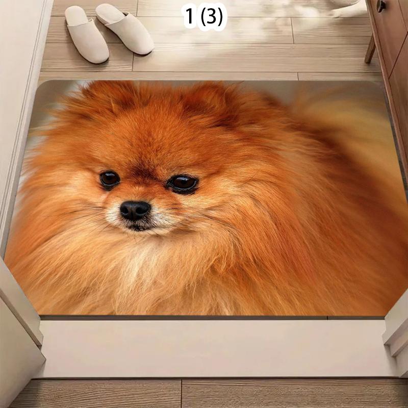 Adorable Pomeranian Door Mat Cute Animal Pattern Soft Non-Slip Entryway Rug for Front Door Living Room Hallway Floor Decor