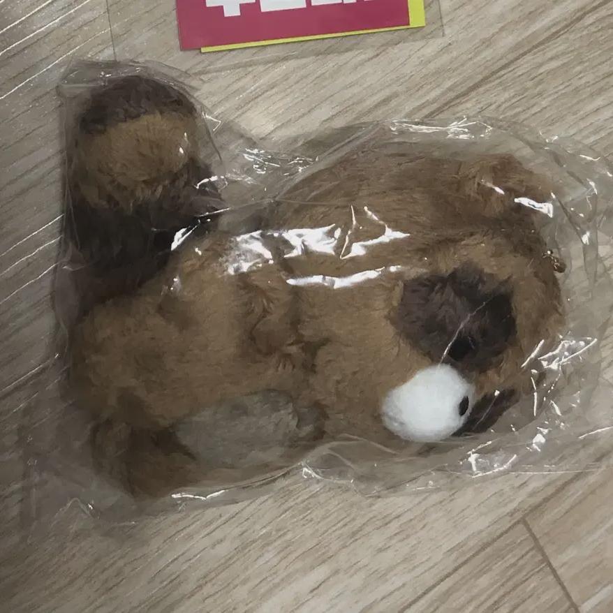 

Мальчики Санву Зукури