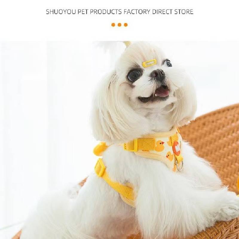 Pet Cat And Dog Harness Set With Nylon Material For Small And Medium Pets Suitable For Outings And Walks