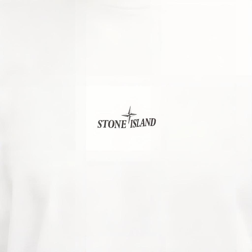 Stone Island Classic Printed Logo Crew Neck Cotton Short Sleeve T-Shirt Men Tops 81152NS81-V0001
