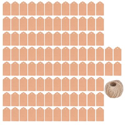 100 Pcs Clothing Tags Double Sided Kraft Paper DIY Craft Gift Tag with 30m Jute Twine for Wedding Christmas