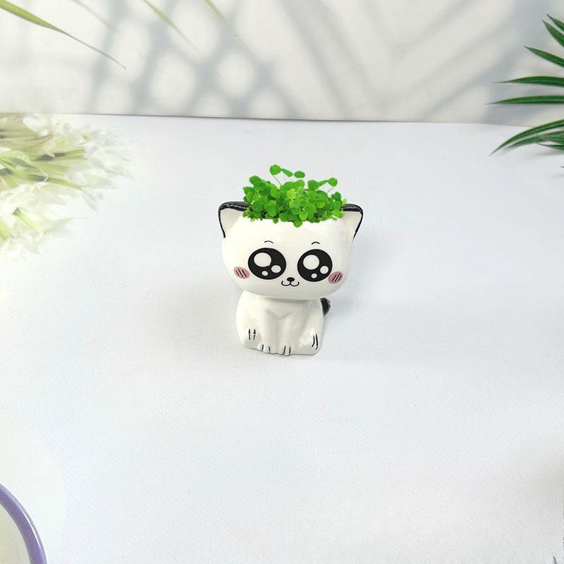 1 Stück Keramik-Blumentopf Mini Cartoon Katze Niedliche Pflanze Schreibtisch-Dekoration Topfpflanze Topf DIY Dekorieren Wissenschaftliche Bildung Schulgeschenke