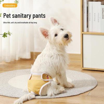 Menstruationshöschen für Hunde: Hygieneunterwäsche gegen Belästigung für Haustiere