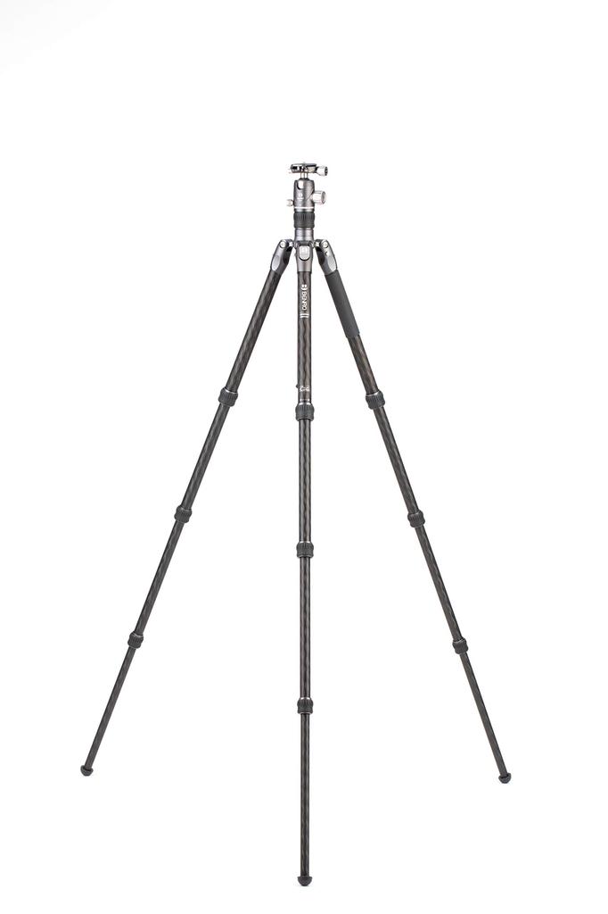 BENRO Rhino Carbon Fiber Travel Tripod with Pan Head, Lightweight and Foldable (FRHN24C + VX25 2-Type, 4-Section)