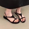 Flats Clip Toe Women Sandals Casual Shoes Walking Cozy Woman Slippers 2025 Trend Brand Designer Dress Female Zapatillas