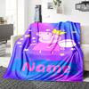 Custom Name Fairy Pig Name Party Blanket For Couch Bed Plush Cozy Fuzzy Blanket Super Soft Warm Blankets For Fall And Winter 0916112