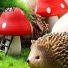 Cute Hedgehog Mushroom Set Micro Landscape Ornaments for Moss Terrariums Fairy Garden Decor, Miniature Decor Figurine, Mini Statue, Potted Plant