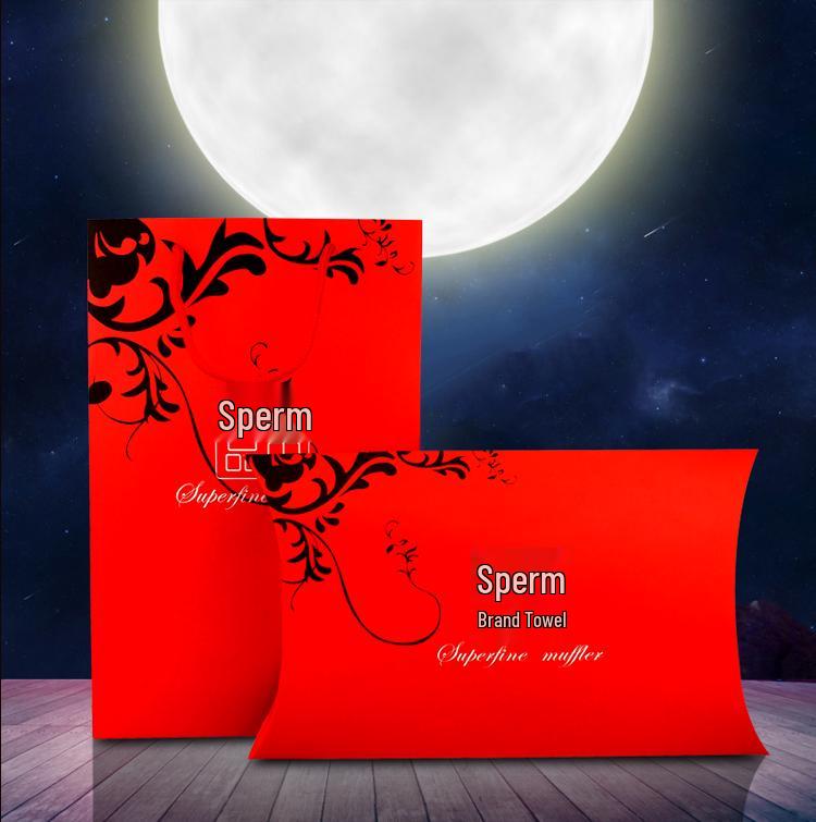 El Çantalı İpek Eşarp Şal Hediye Paketleme Seti