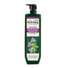 Kesh King Organic Rosemary Shampoo With Tulsi, Hairfall Shampoo For Stronger Hair Growth And Damage Repair, Sulphate Free & Ayurvedic, 300Ml