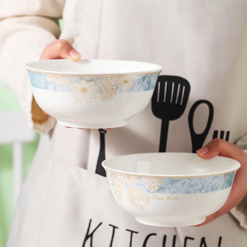 Haoya Jingdezhen Keramik 6-Zoll Nudelsuppenschalen Set mit 6 Stück - Zeitreise-Muster